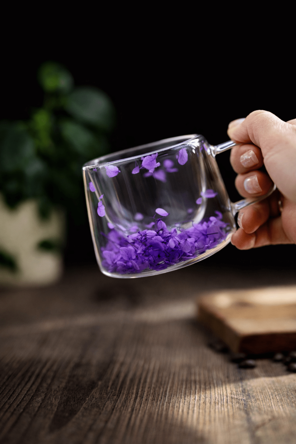 Double Glass Handcrafted Flower Glass Cup Mugs with Dried Flowers - Unique Floral Tea & Coffee Mug - MY Sunshine Candless