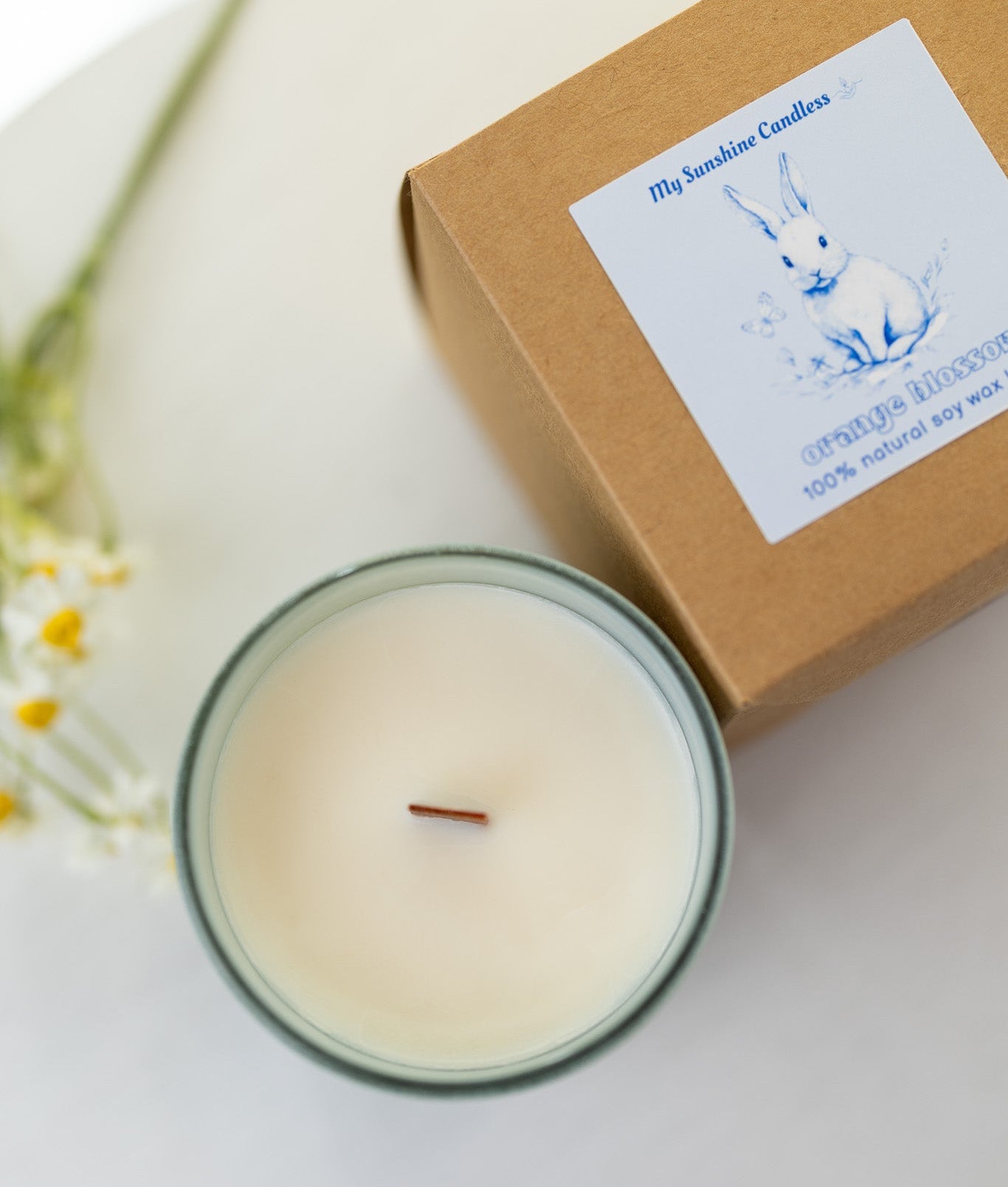 Vintage Easter Egg Rabbit Candle – Blue Floral Spring Bunny Gift, 12 oz Matte Luxury Glass Jar - MY Sunshine Candless