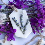 Lavender Botanical Soy Wax Sachets