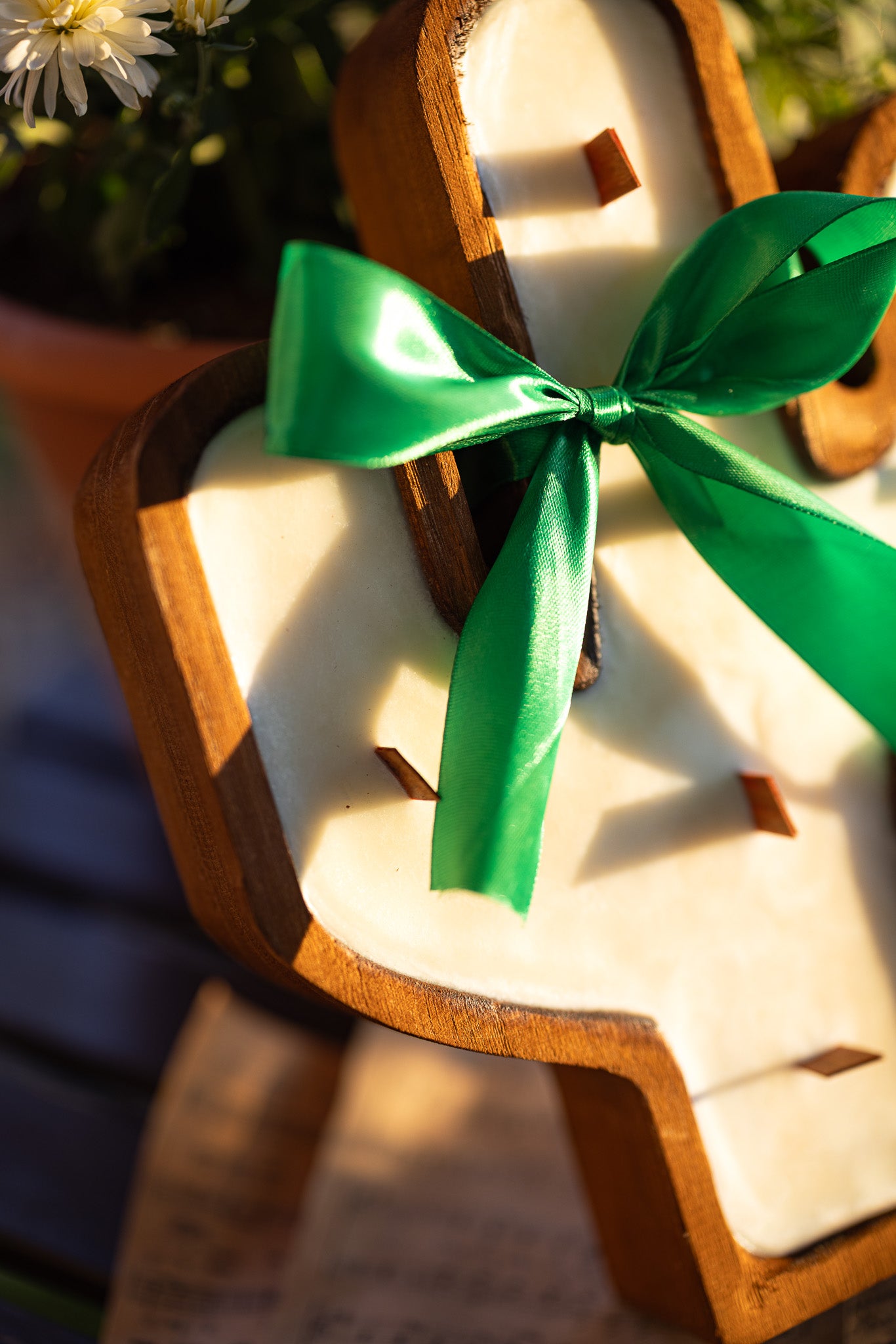 Cactus Rustic Wood Bowl Candle / 6 Wood Wicks
