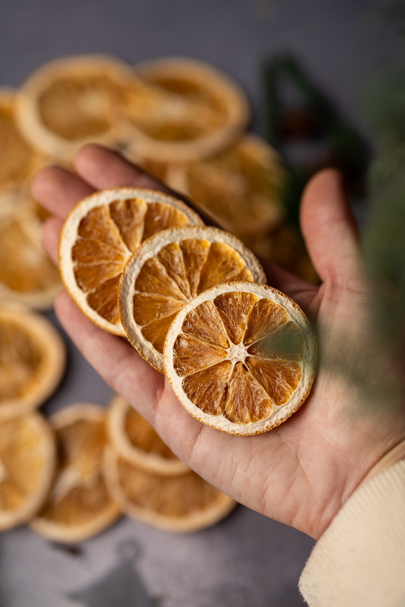 Dehydrated Orange Slices | All-Natural Dried Citrus | Drink Garnish /Craft Supply /Home Décor
