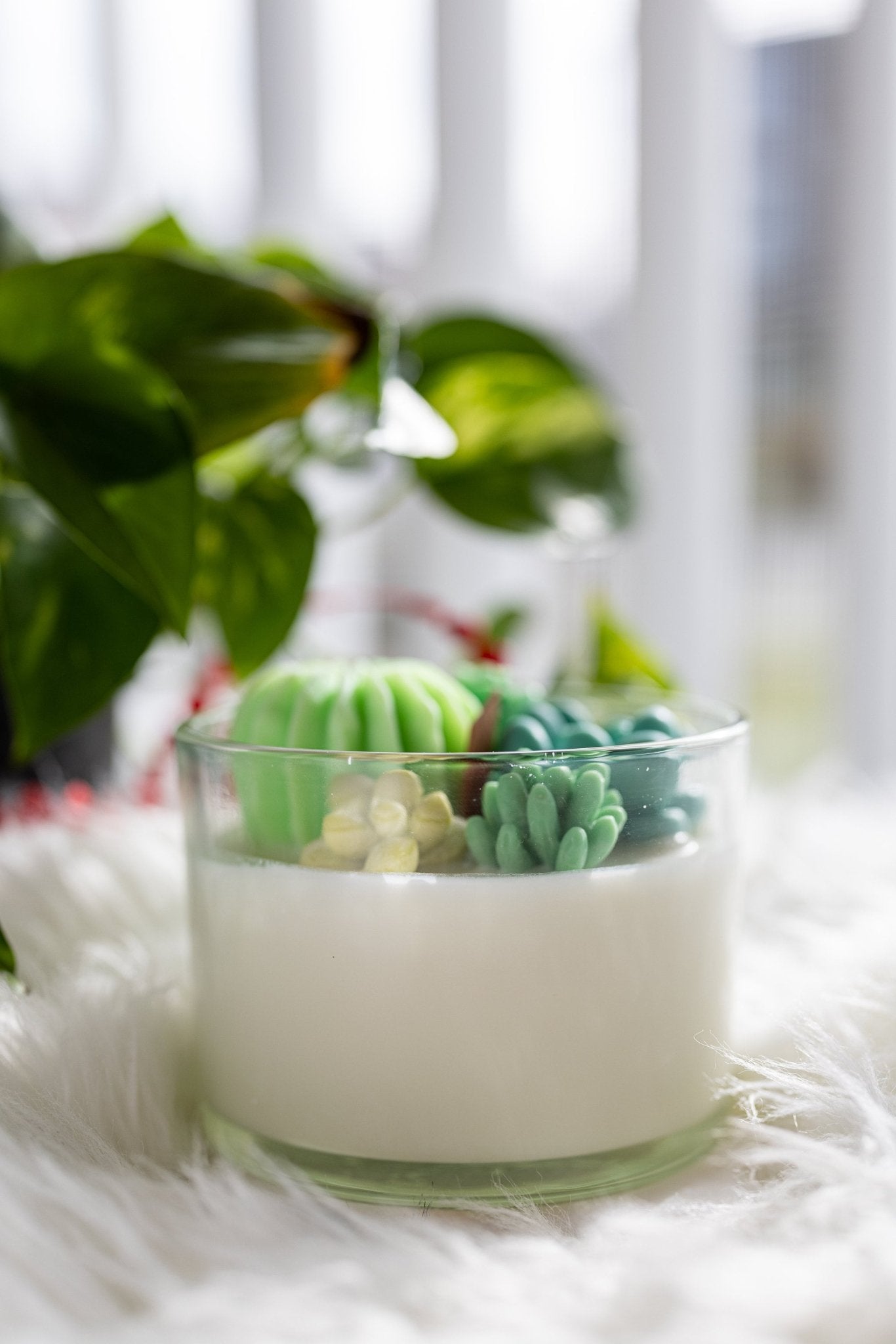 Large Glass Succulent Cacti Candle, Succulent Cacti Terrarium Garden Gift,Cactus Blossom Scent,Candle for Plant Lover, Gift for Gardener.