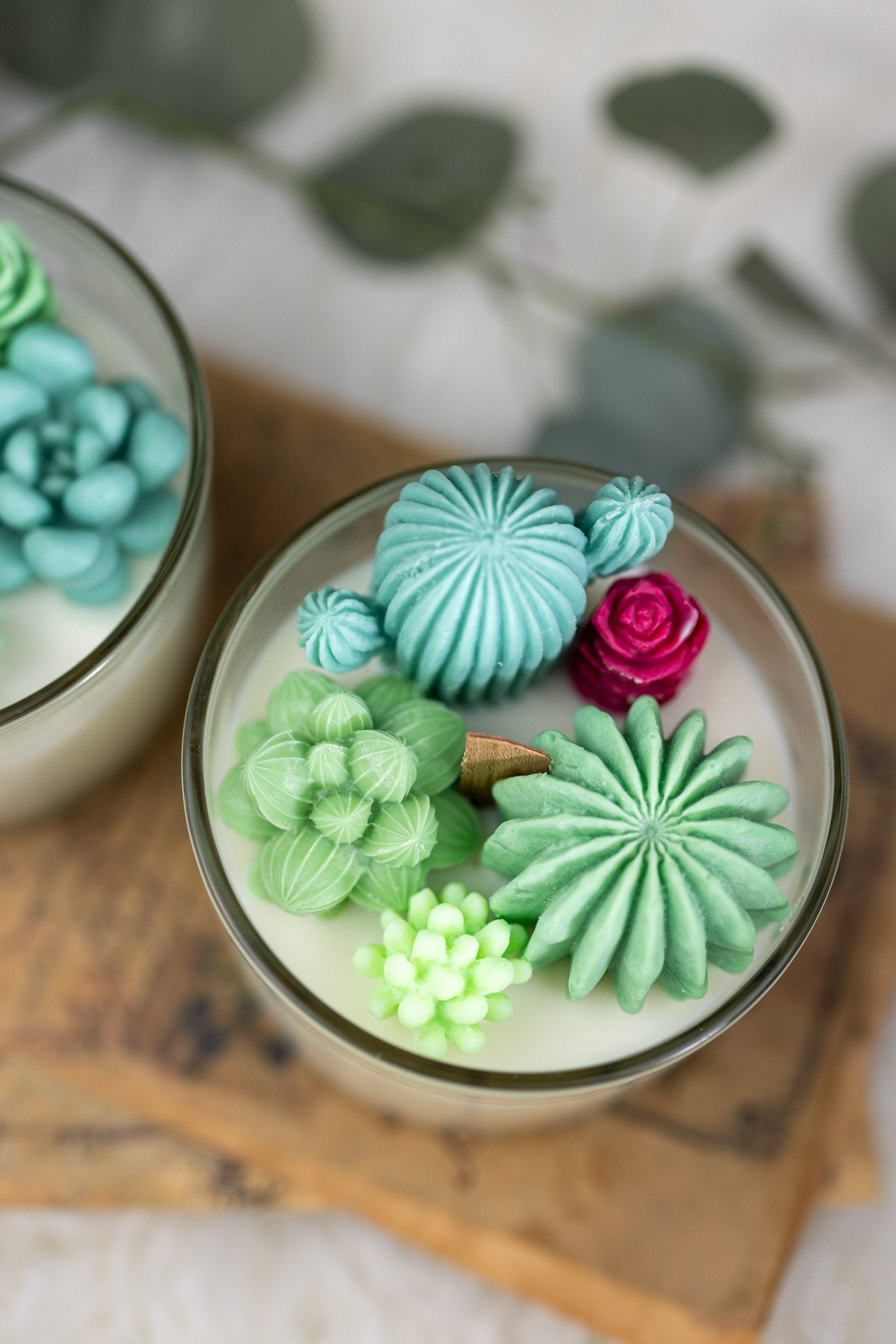 Large Glass Succulent Cacti Candle, Succulent Cacti Terrarium Garden Gift,Cactus Blossom Scent,Candle for Plant Lover, Gift for Gardener.