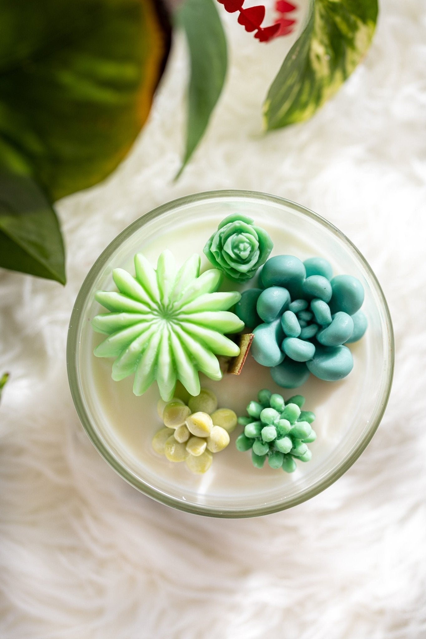 Large Glass Succulent Cacti Candle, Succulent Cacti Terrarium Garden Gift,Cactus Blossom Scent,Candle for Plant Lover, Gift for Gardener.