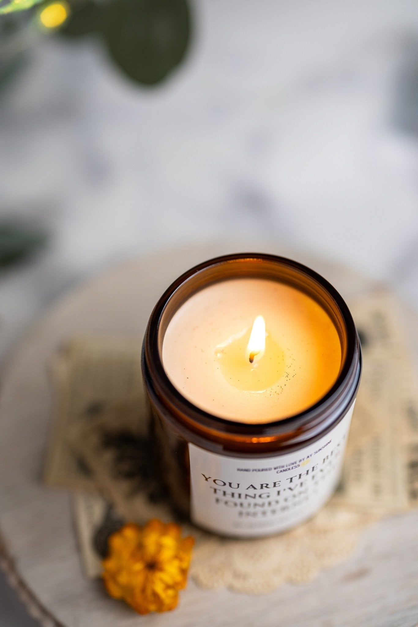 Best Thing On the Internet Candle, Boyfriend Gift Candle, anniversary gift, Birthday Gift for him, Anniversary gift for him,MySunshineCandle