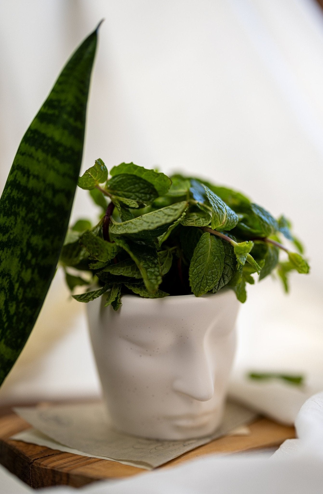 Handmade Face Planter Pot , Decorative Tray , Unique Flower Pot , Concerete Tray