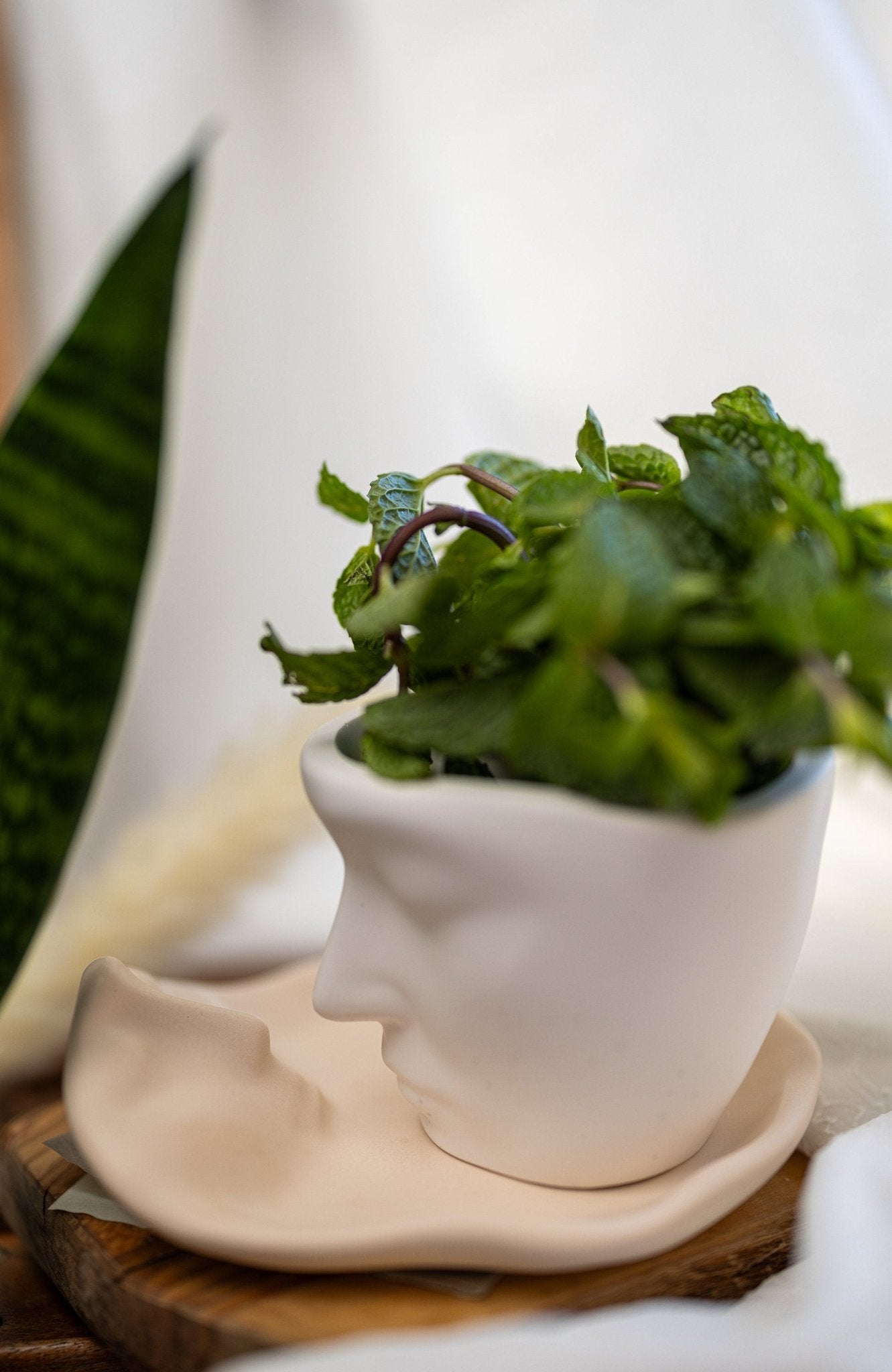 Handmade Face Planter Pot , Decorative Tray , Unique Flower Pot , Concerete Tray