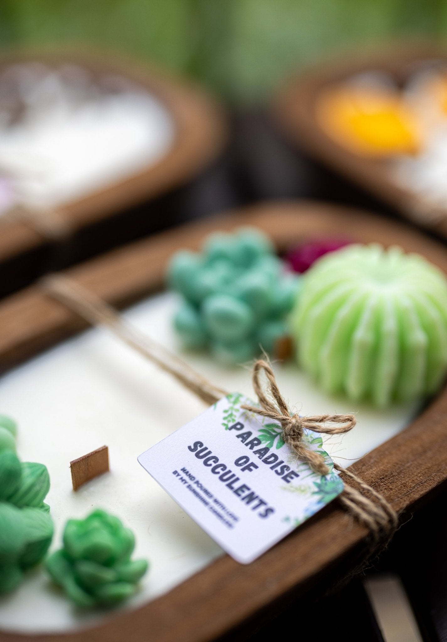 Succulent Dough Bowl Candle 3 Wood Wick Candle /Soy Candle /Dough Bowl/Farmhouse candle/large candle