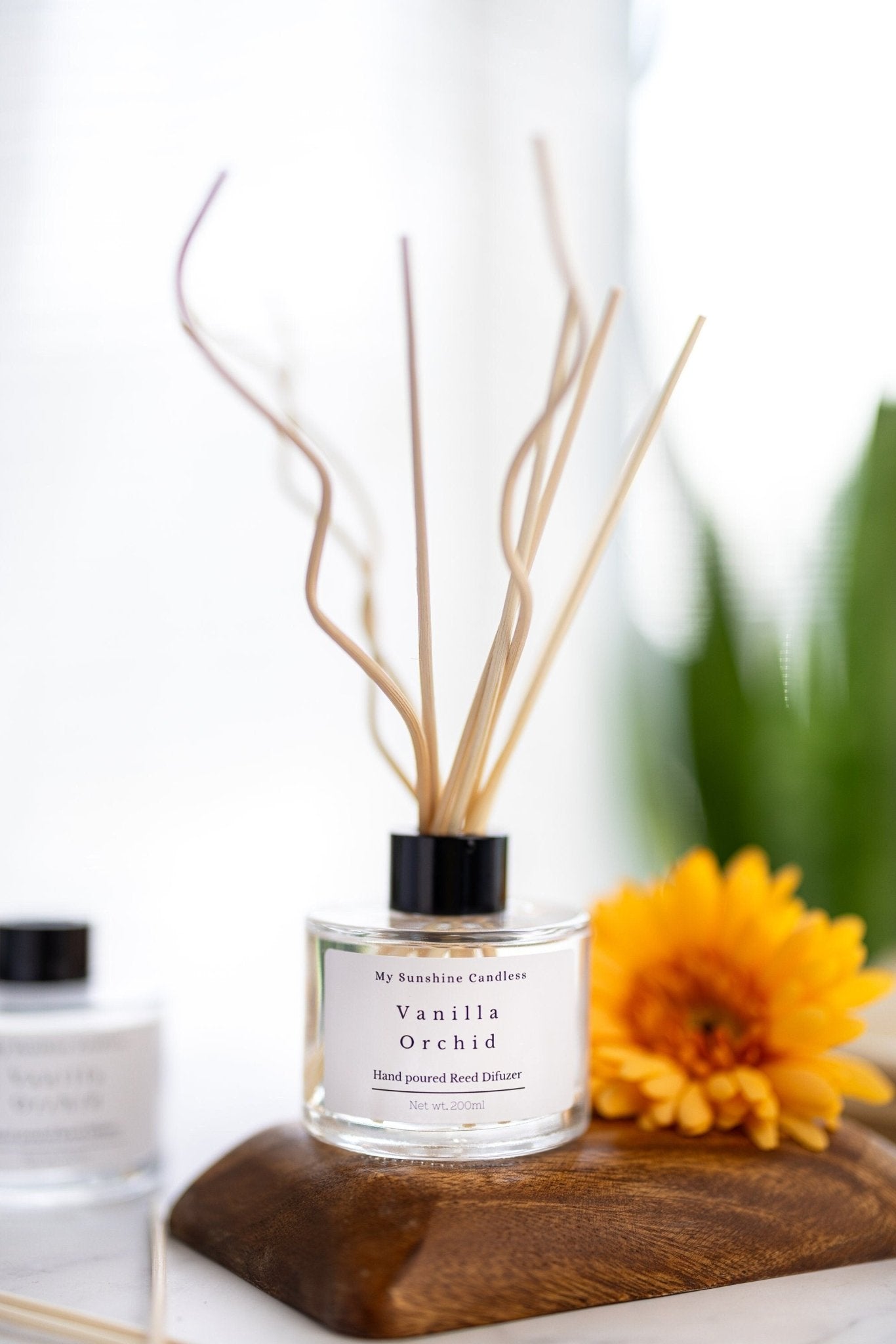 REED DIFFUSER Bottle With Sticks/Diffuser Oil Set/Home Fragrance/Decor/ Over 40 Fragrances to Choose From/Handmade