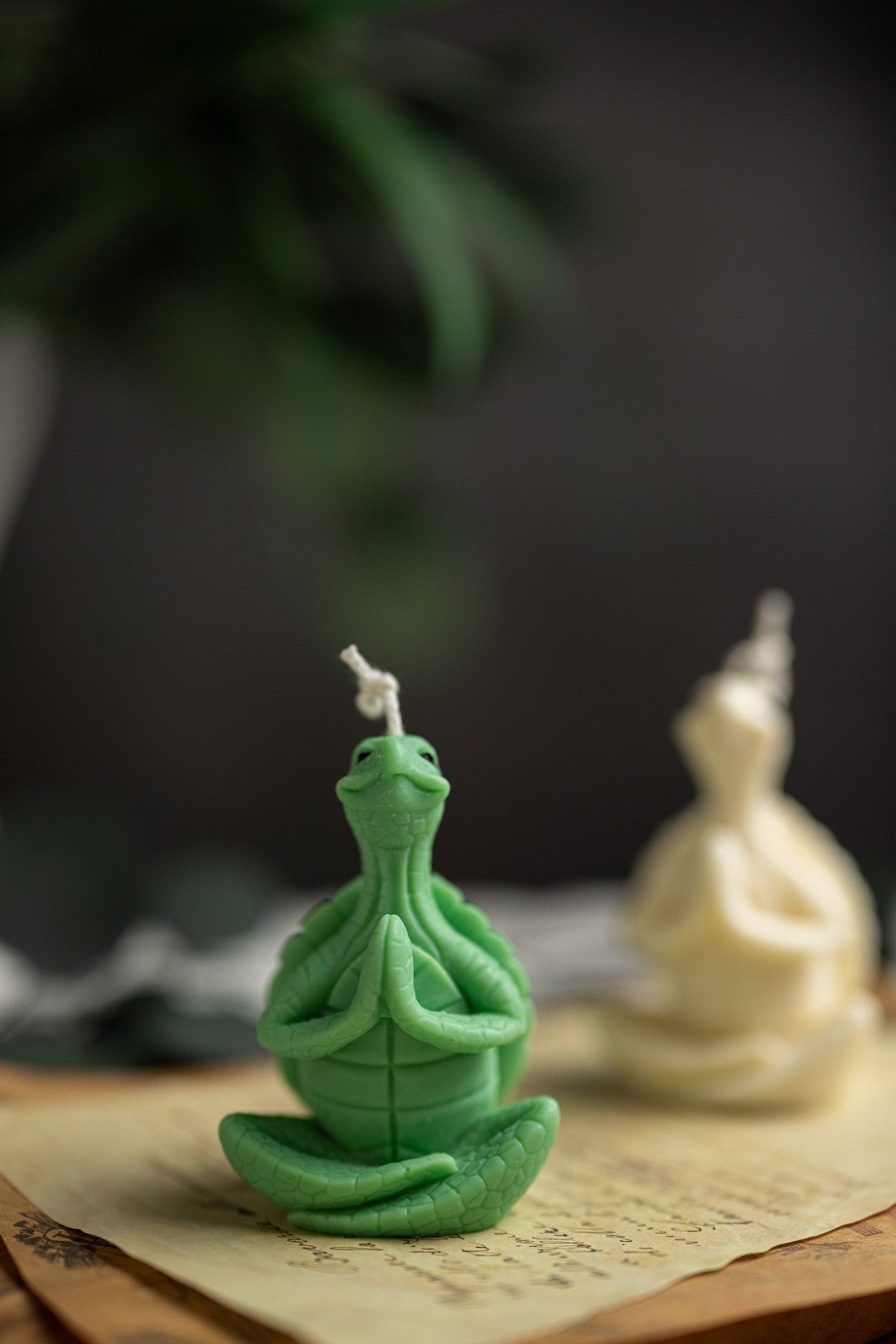 Meditating Turtle Soy Candle/New Sea Turtle Family/Turtle Gifts/ Turtle /Handmade Candles