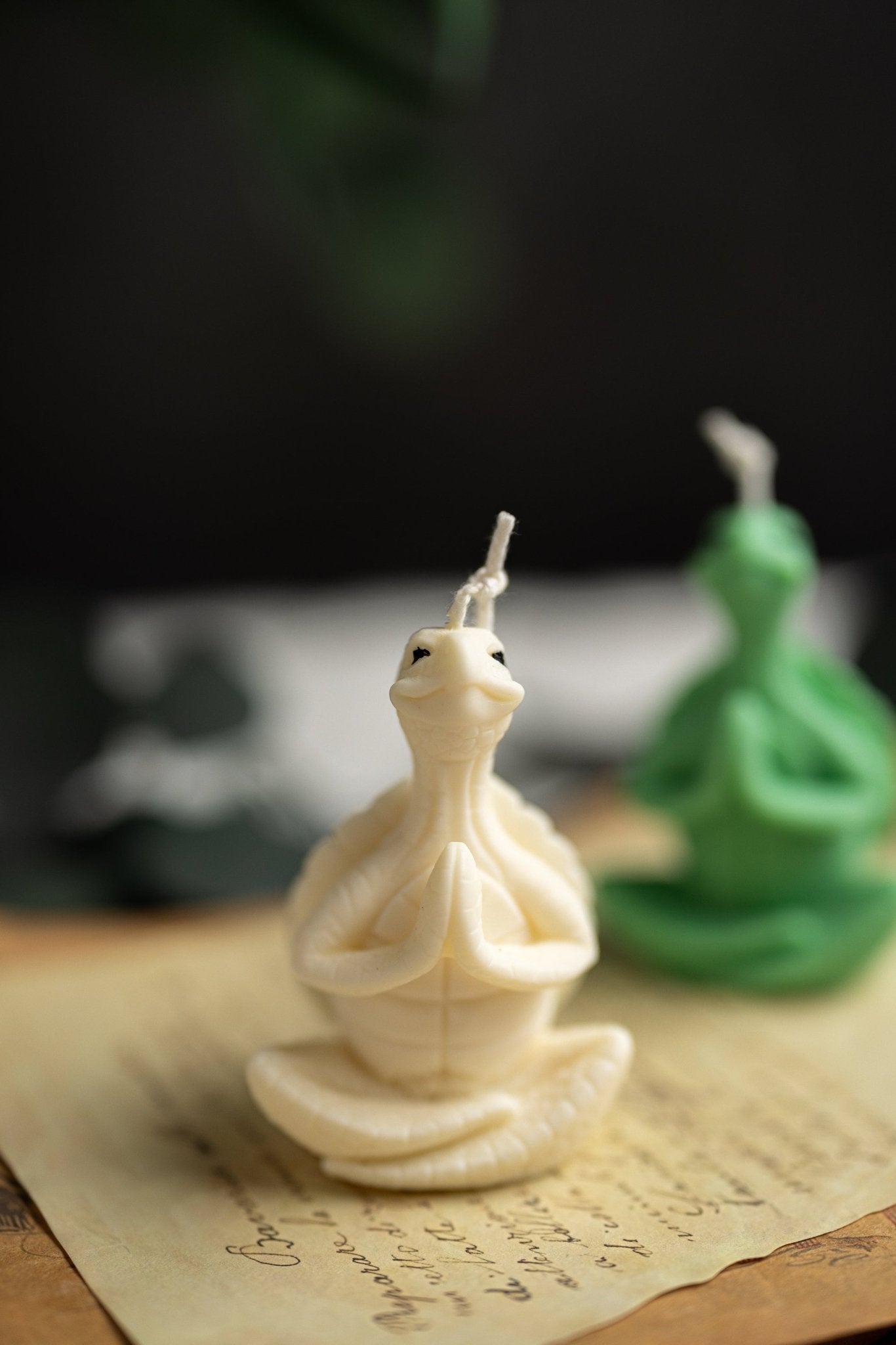 Meditating Turtle Soy Candle/New Sea Turtle Family/Turtle Gifts/ Turtle /Handmade Candles