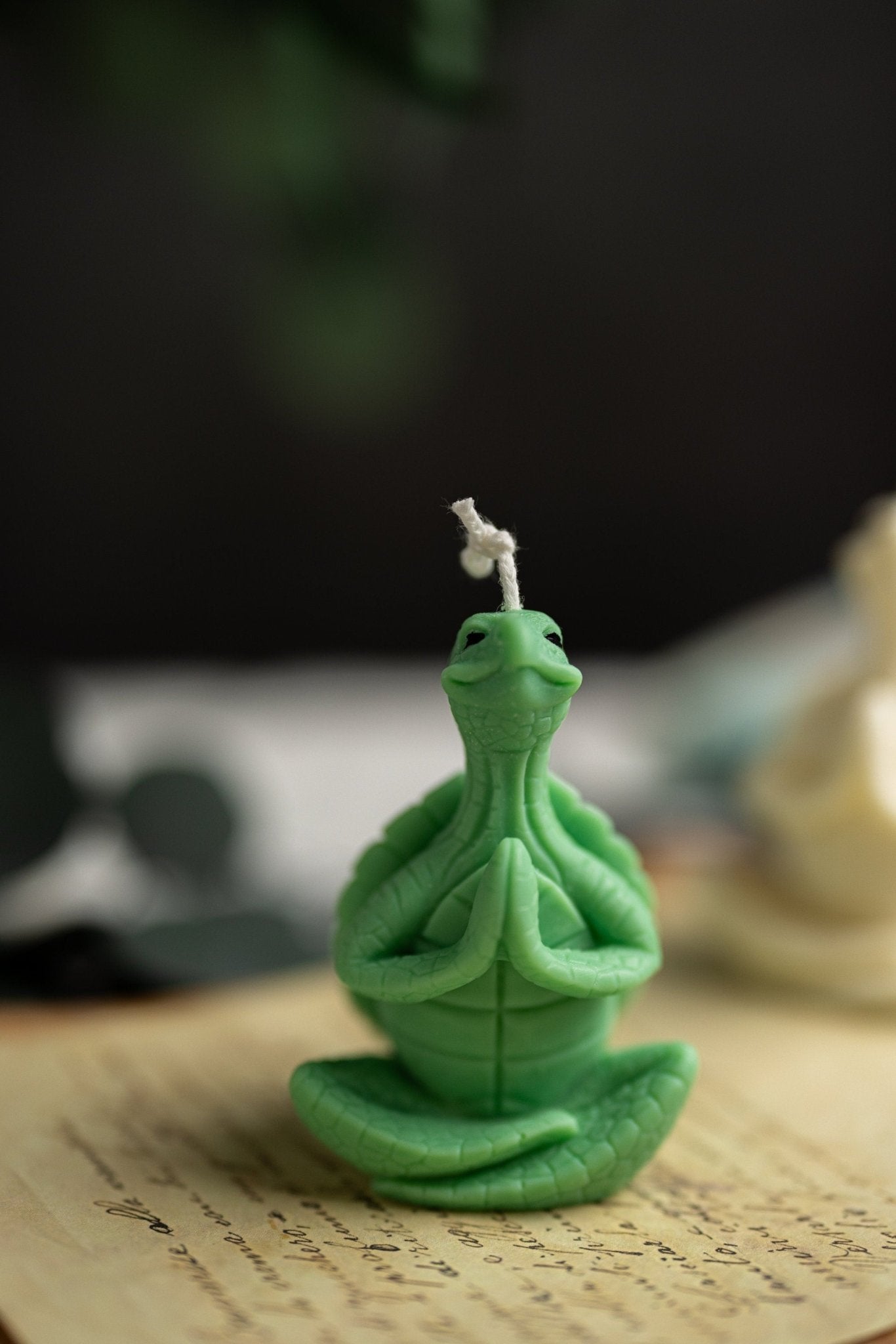 Meditating Turtle Soy Candle/New Sea Turtle Family/Turtle Gifts/ Turtle /Handmade Candles