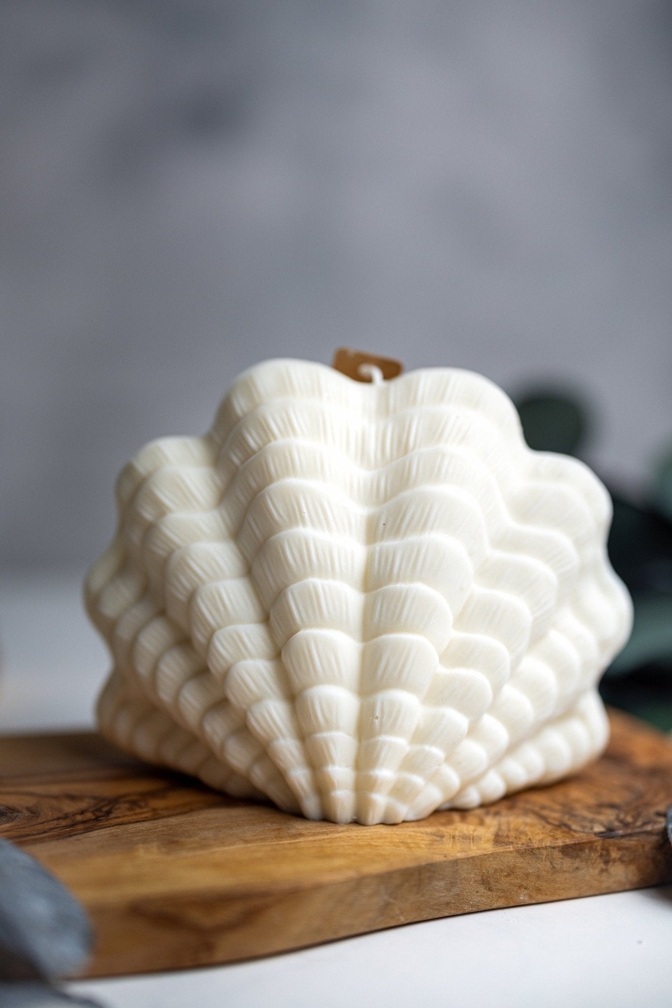 Large Shell Candle | Decorative Soy Wax Candle | Clam shell candle| Aesthetic Candle| Pillar Candle | Vegan| Unique Candle| Gift For Her