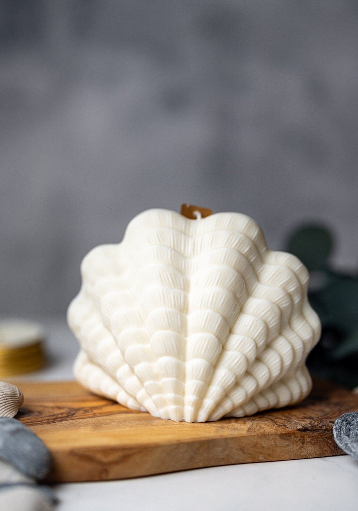Large Shell Candle | Decorative Soy Wax Candle | Clam shell candle| Aesthetic Candle| Pillar Candle | Vegan| Unique Candle| Gift For Her