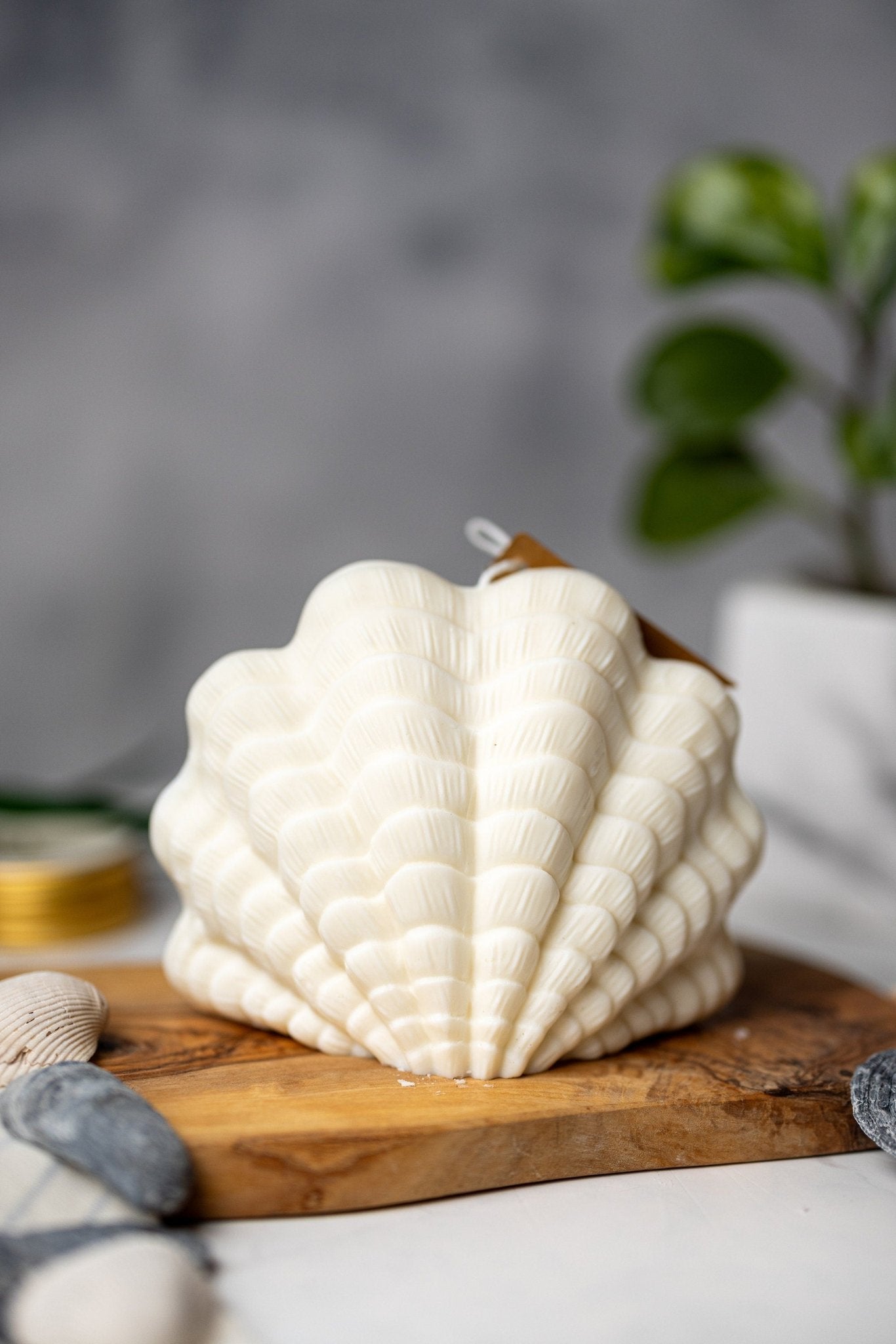 Large Shell Candle | Decorative Soy Wax Candle | Clam shell candle| Aesthetic Candle| Pillar Candle | Vegan| Unique Candle| Gift For Her