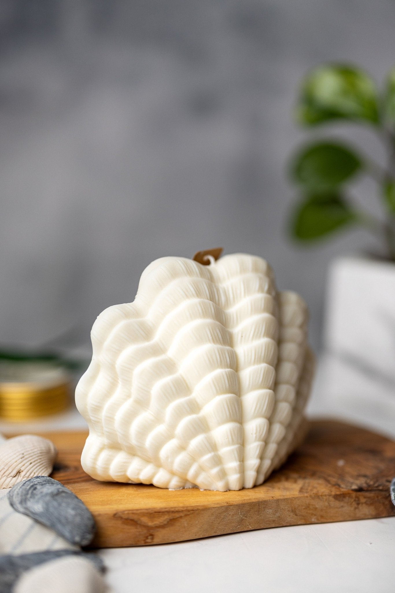 Large Shell Candle | Decorative Soy Wax Candle | Clam shell candle| Aesthetic Candle| Pillar Candle | Vegan| Unique Candle| Gift For Her