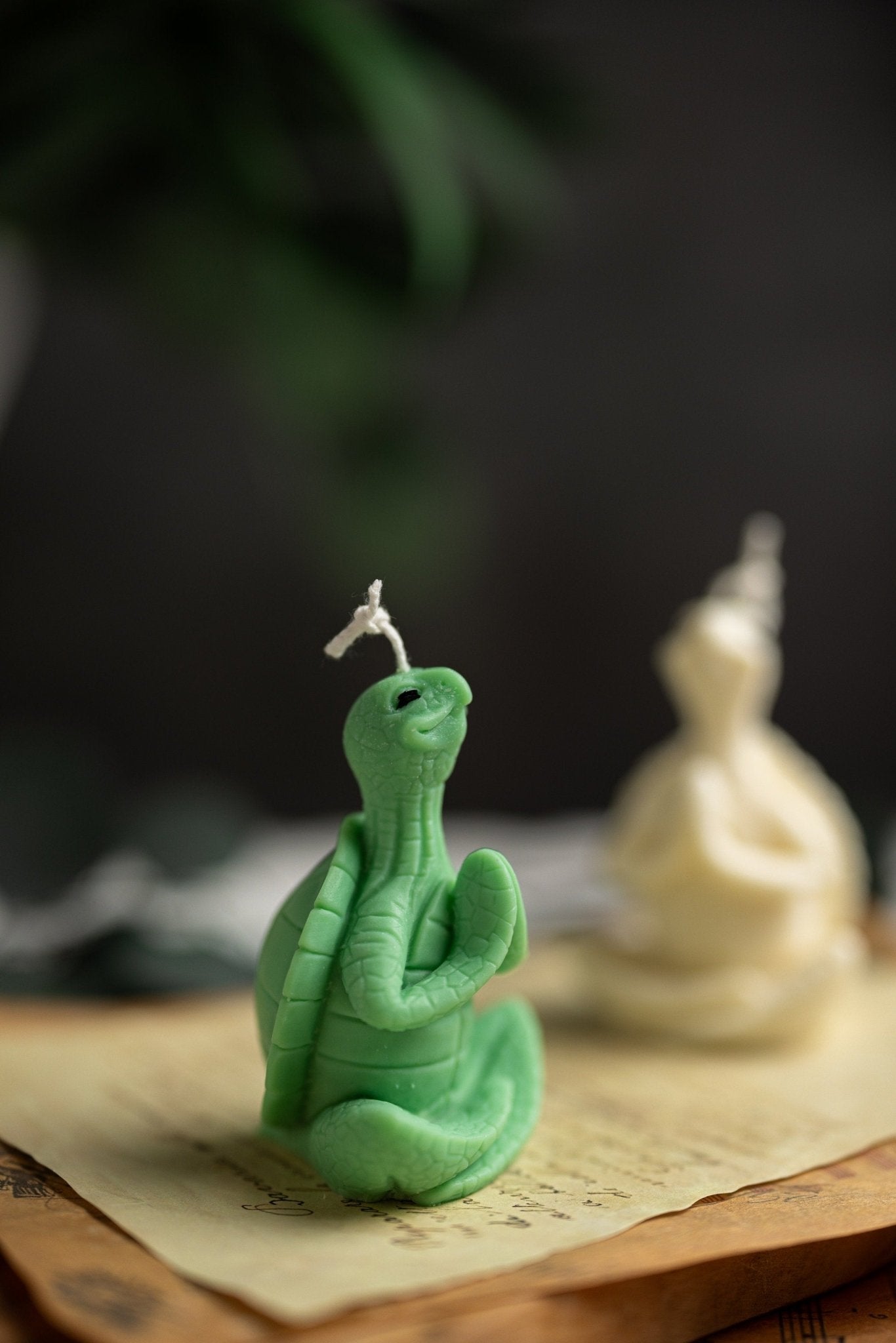 Meditating Turtle Soy Candle/New Sea Turtle Family/Turtle Gifts/ Turtle /Handmade Candles