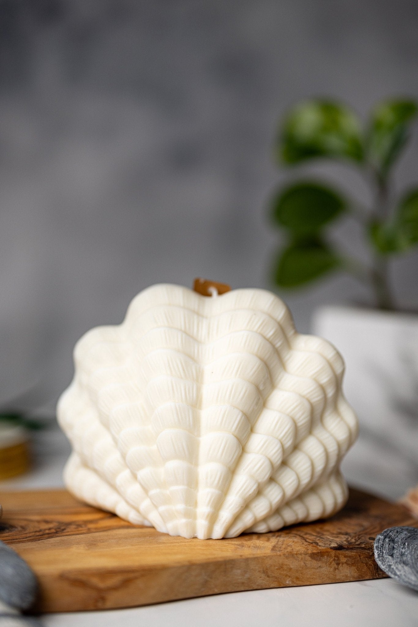 Large Shell Candle | Decorative Soy Wax Candle | Clam shell candle| Aesthetic Candle| Pillar Candle | Vegan| Unique Candle| Gift For Her