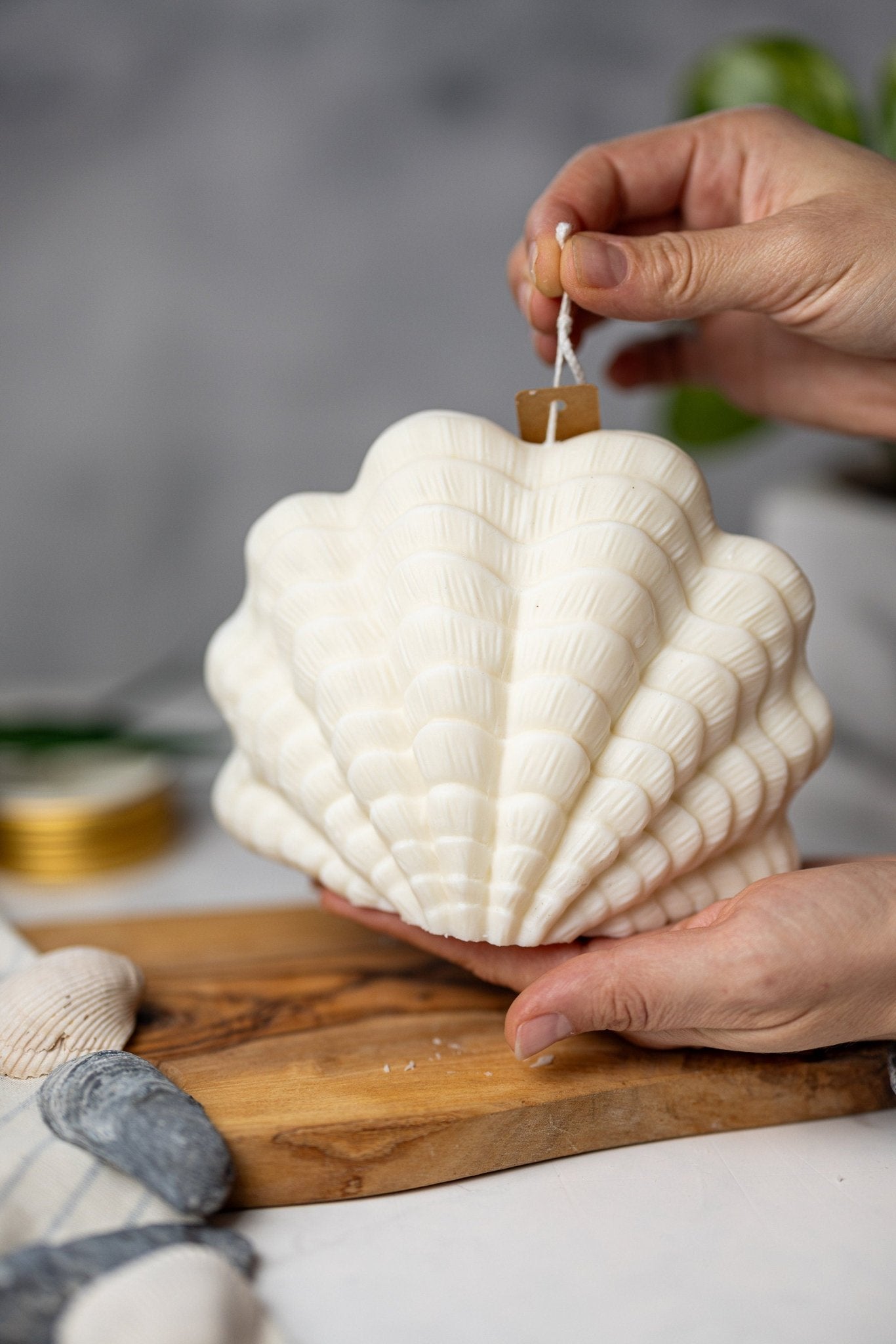 Large Shell Candle | Decorative Soy Wax Candle | Clam shell candle| Aesthetic Candle| Pillar Candle | Vegan| Unique Candle| Gift For Her