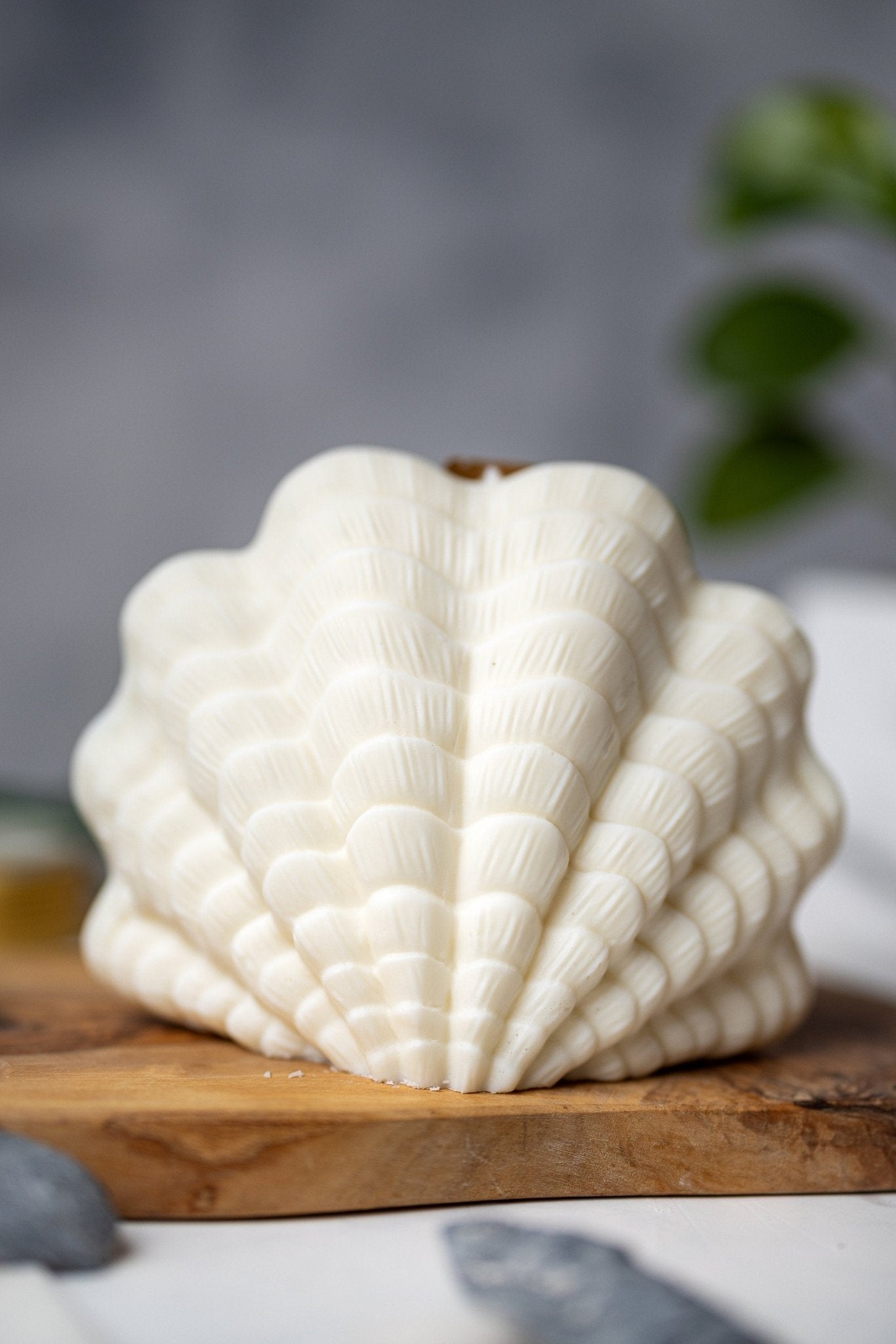 Large Shell Candle | Decorative Soy Wax Candle | Clam shell candle| Aesthetic Candle| Pillar Candle | Vegan| Unique Candle| Gift For Her
