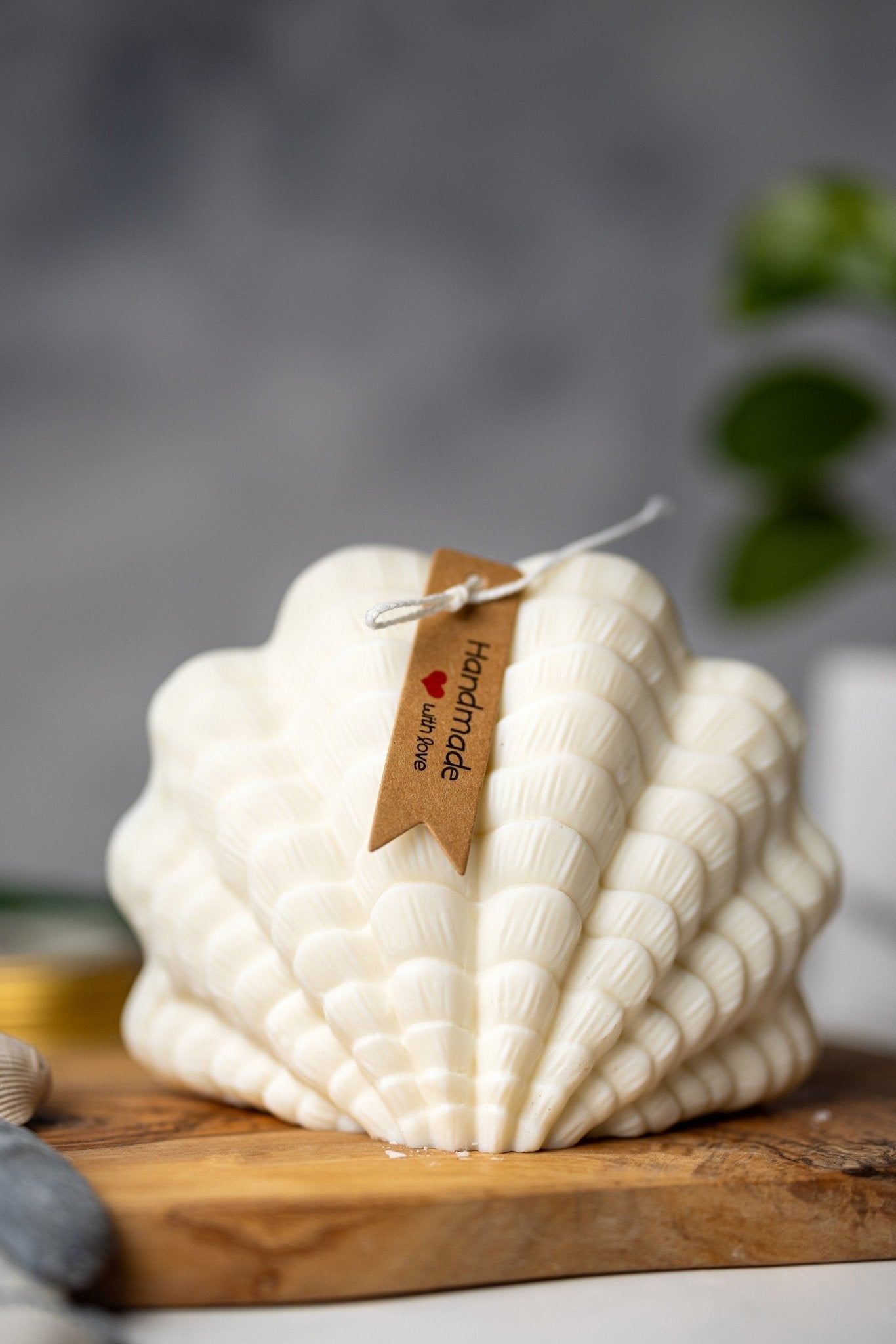Large Shell Candle | Decorative Soy Wax Candle | Clam shell candle| Aesthetic Candle| Pillar Candle | Vegan| Unique Candle| Gift For Her